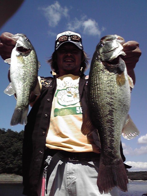 200909131246000_ed.jpg