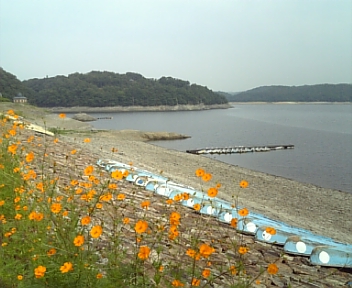 DVC00179.jpg