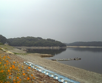DVC00242.jpg