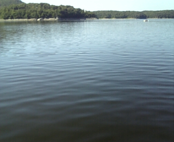 DVC00266.jpg