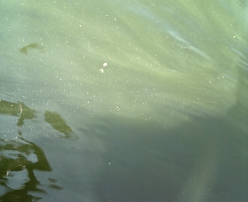 DVC00262.jpg