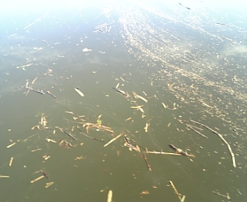 DVC00027.jpg