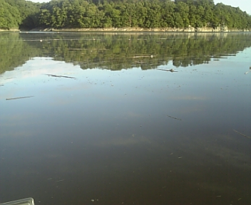 DVC00024.jpg
