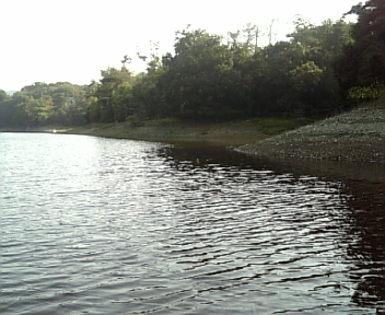 DVC00047.jpg