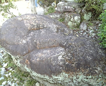 DVC00080.jpg