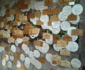 DVC00101.jpg