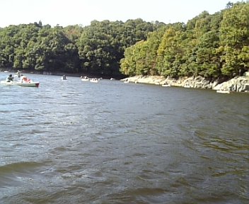 DVC00128.jpg