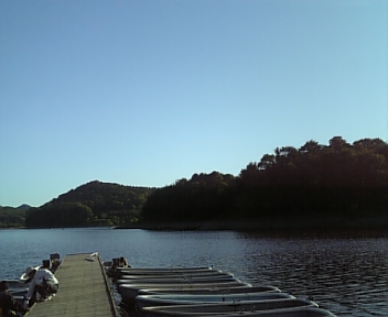 DVC00126.jpg