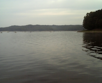 DVC00138.jpg
