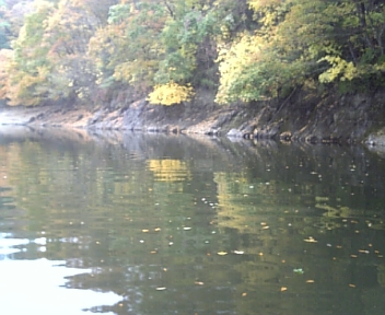 DVC00124.jpg