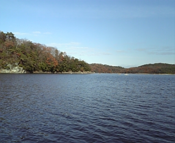 DVC00206.jpg