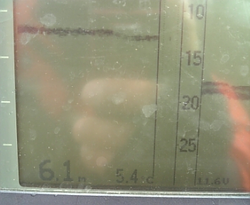 DVC00270.jpg