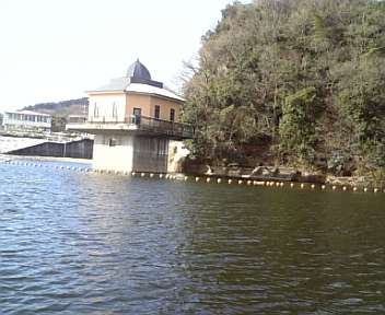 DVC00265.jpg