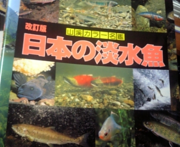 100125_140315.jpg