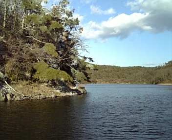 100126_152931.jpg