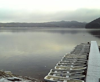100204_075220.jpg