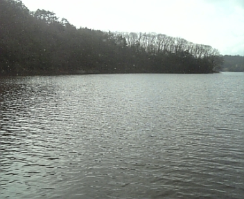 100204_102909.jpg