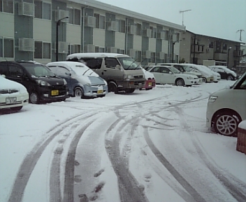 100206_100827.jpg