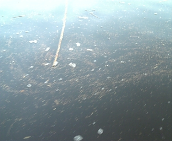 100213_073801.jpg
