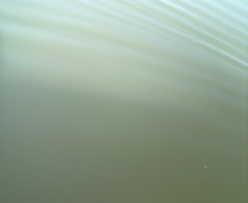 100213_093036.jpg