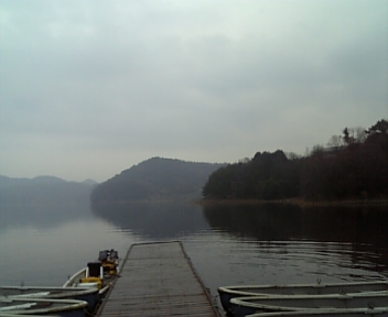 100219_083626.jpg