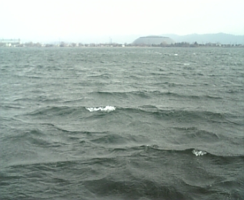 100225_124802.jpg