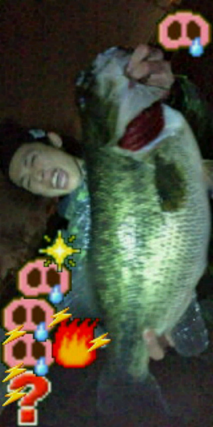 201002250056001.jpg