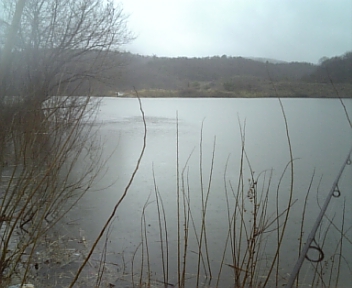 100309_172356.jpg