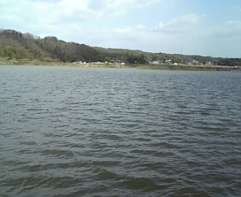 100317_095842.jpg