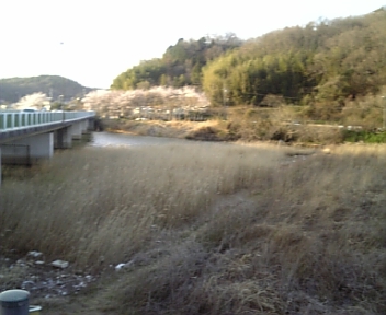 100403_173248.jpg