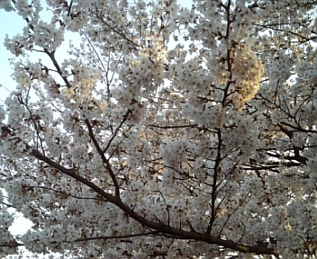 100403_173828.jpg