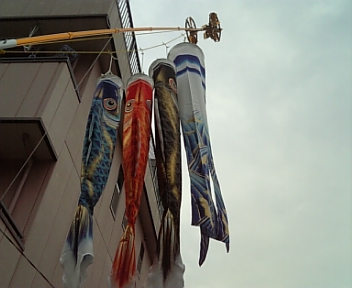 100406_170842.jpg