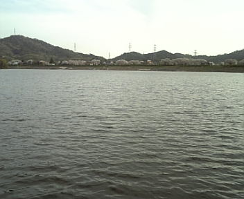 100410_165643.jpg