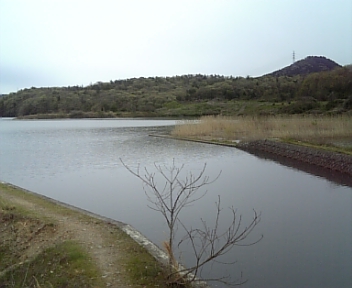100415_110428.jpg