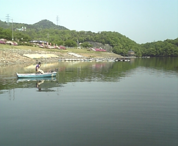 100504_095540.jpg