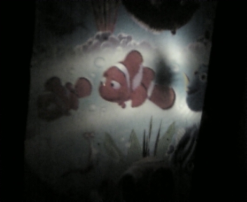 DVC00001.jpg