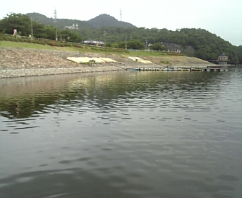 100609_080511.jpg