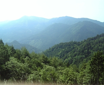 100611_092802.jpg