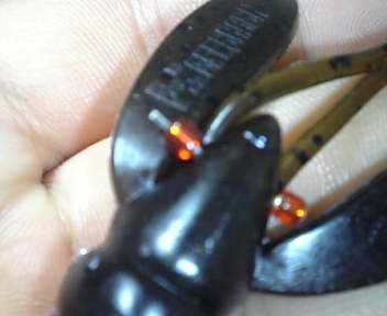 100619_225412.jpg