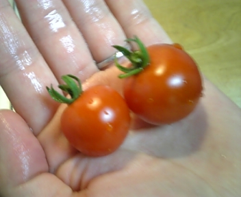 100628_114136.jpg