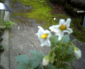 100628_184726.jpg
