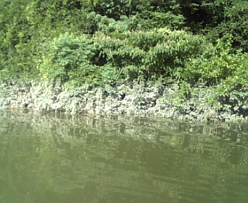100718_163830.jpg