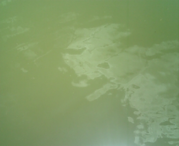 100718_115852.jpg