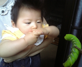 100726_183311.jpg