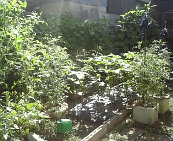 100805_085926.jpg