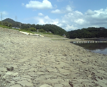 100901_101501.jpg
