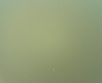 100925_075321.jpg