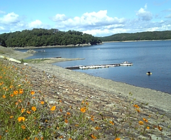 101010_130920.jpg