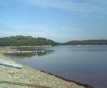 101016_110410.jpg