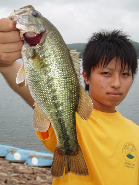 yasue2.JPG